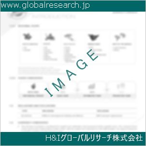 グローバルリサーチ調査資料のイメージ